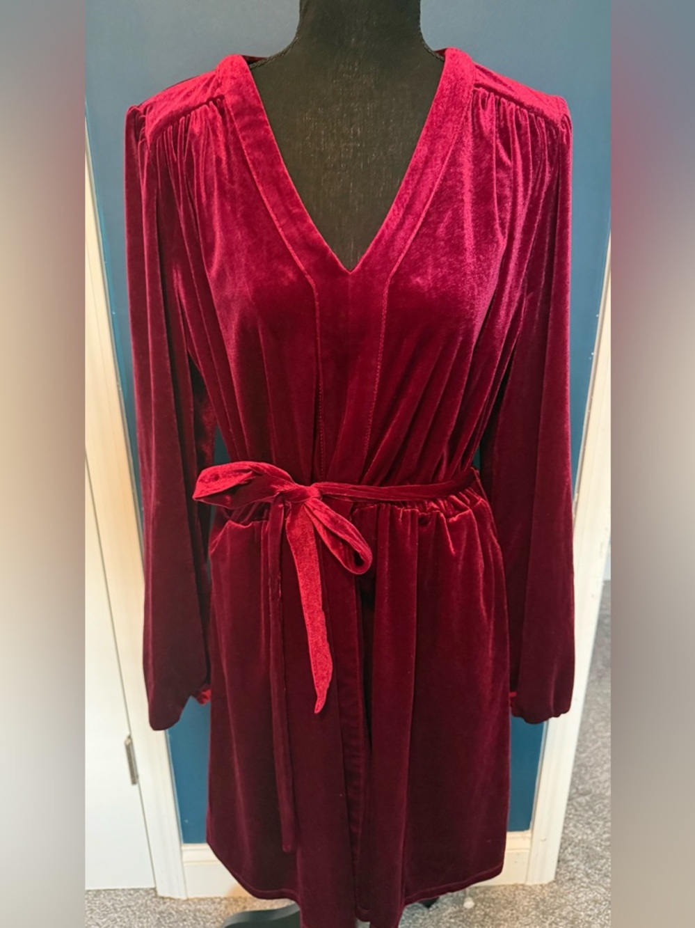 Draper James Velvet Dress in Rich Burgundy